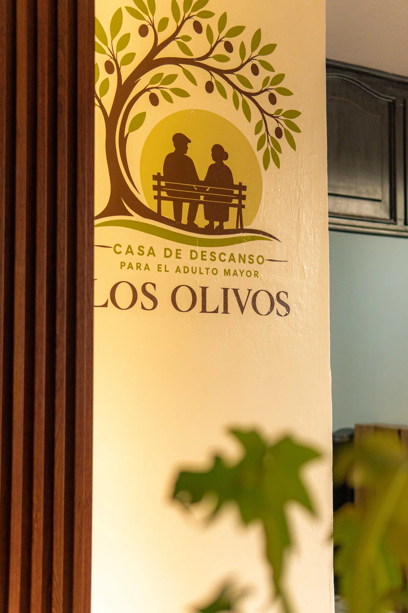 Entrada y recepción de Los Olivos con vista al patio