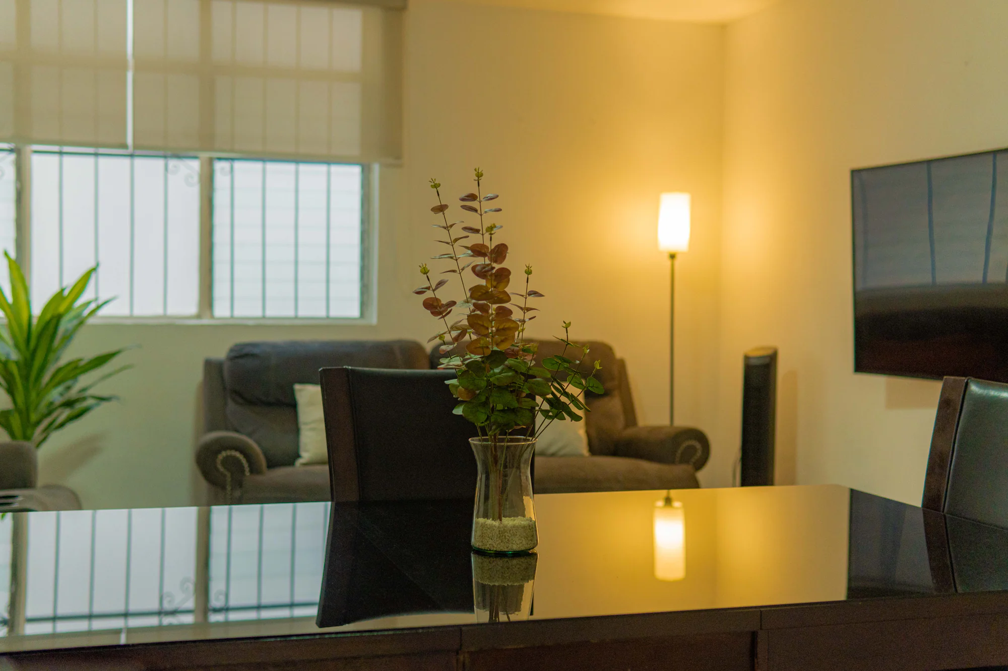 Sala de Los Olivos con sillones y plantas