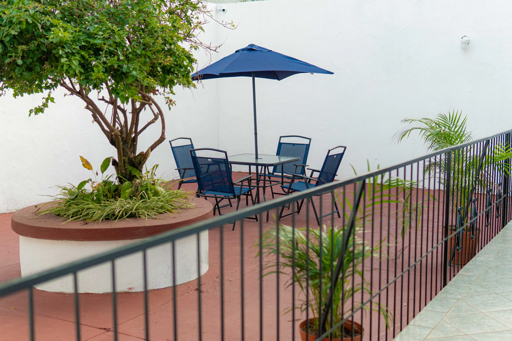 Terraza exterior de Los Olivos con mesa, sombrilla y árbol